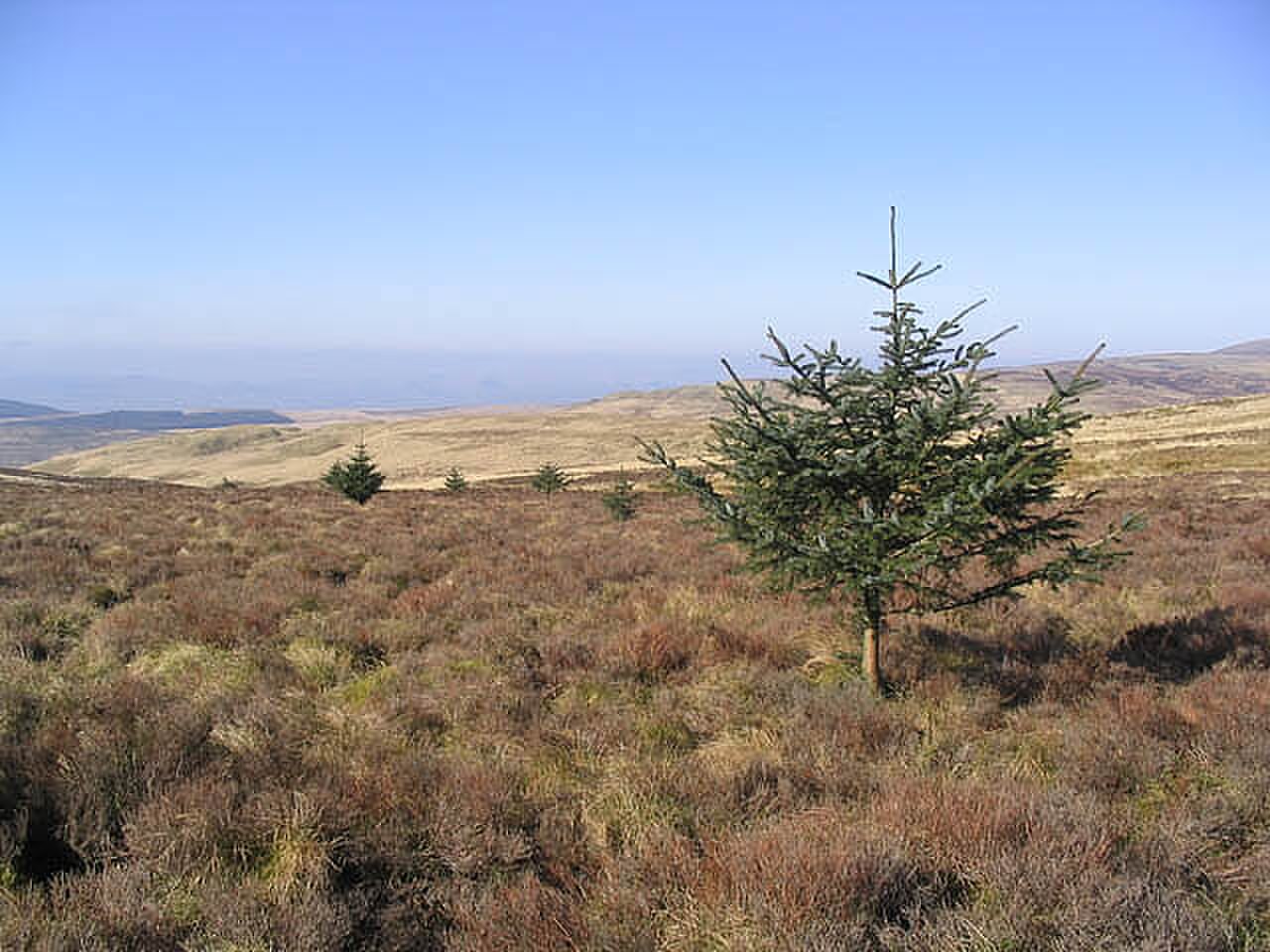 Una fotografia di Collina Queensberry