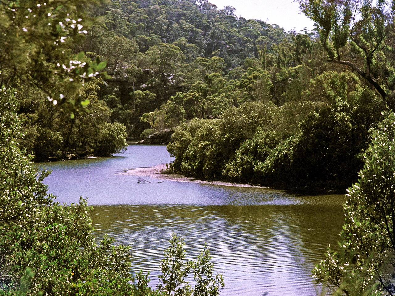 Ku-ring-gai Chase Millî Parkı fotoğrafı