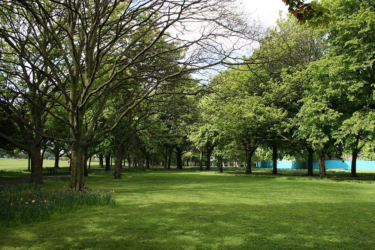 Ein Foto von Fairview-Park