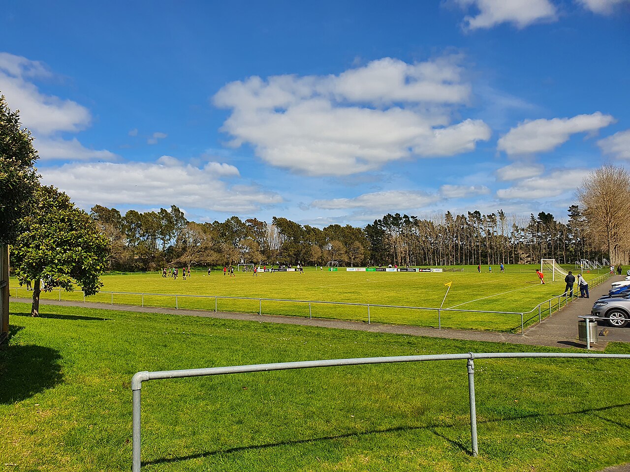 Taylor Park