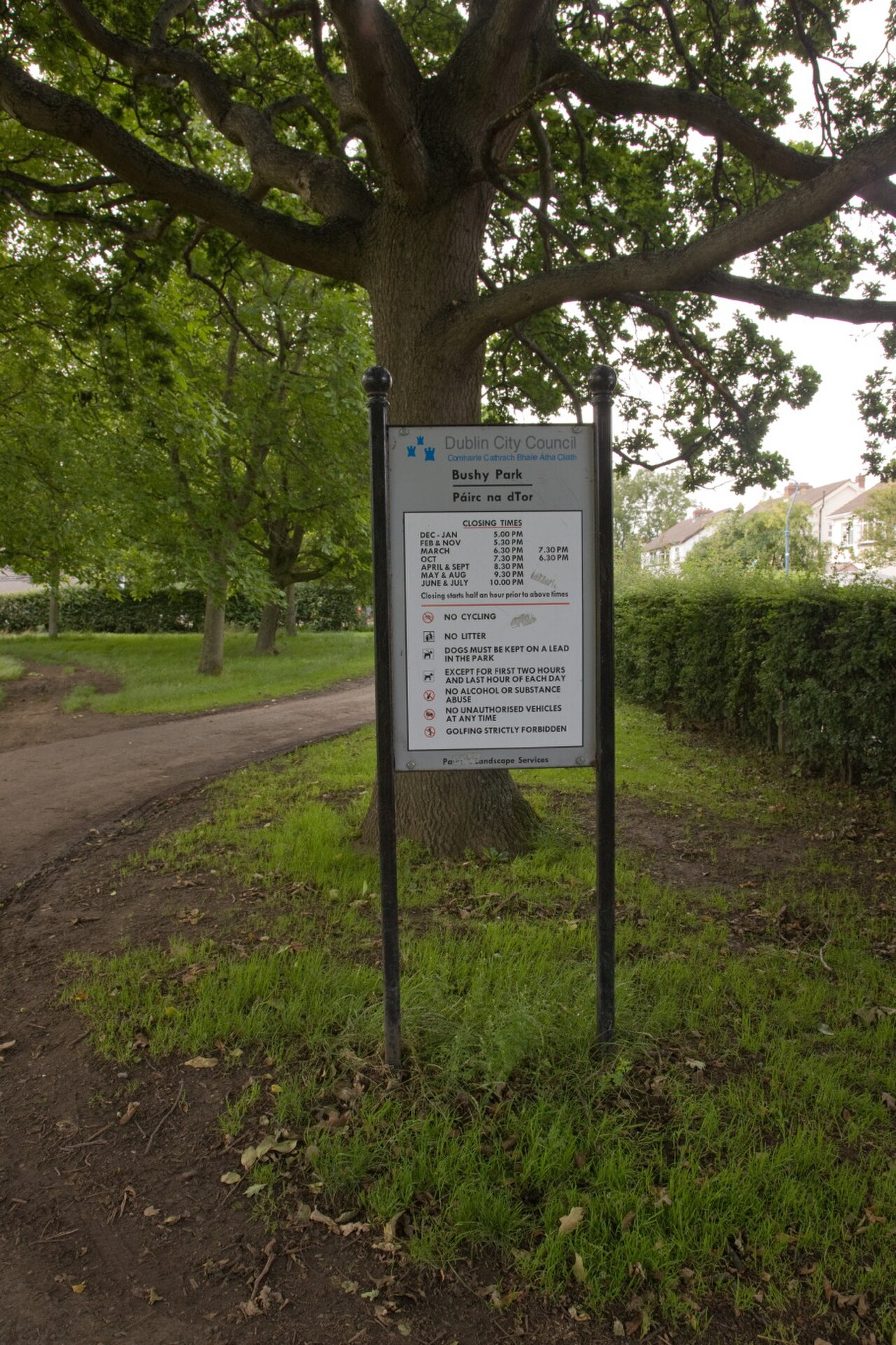 Bushy Parkı fotoğrafı