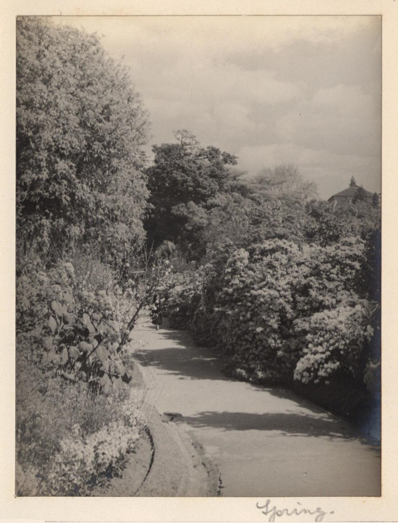A photograph of Spring