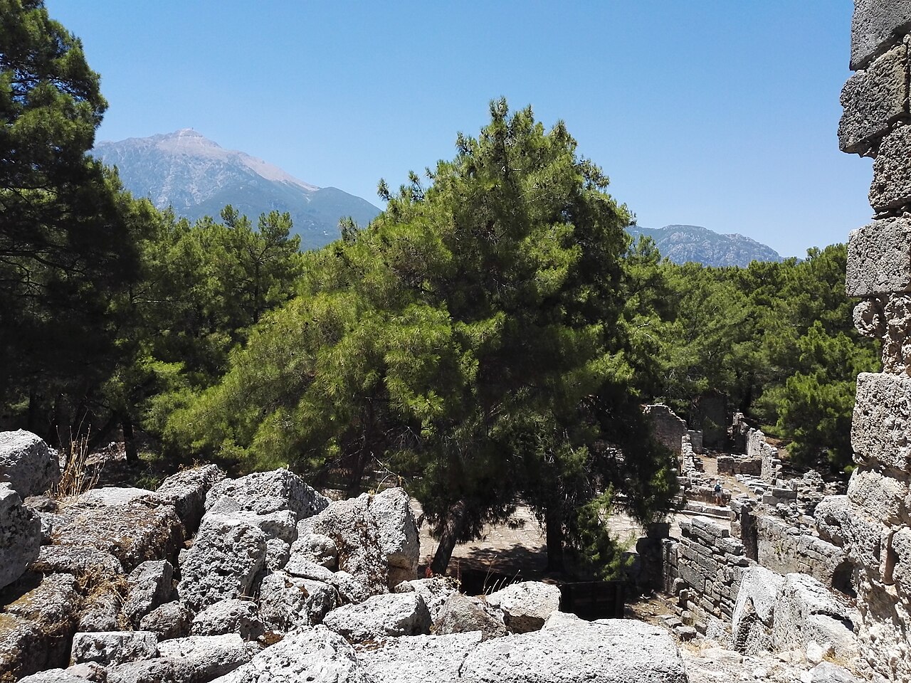 Phaselis Roma Tiyatrosu fotoğrafı