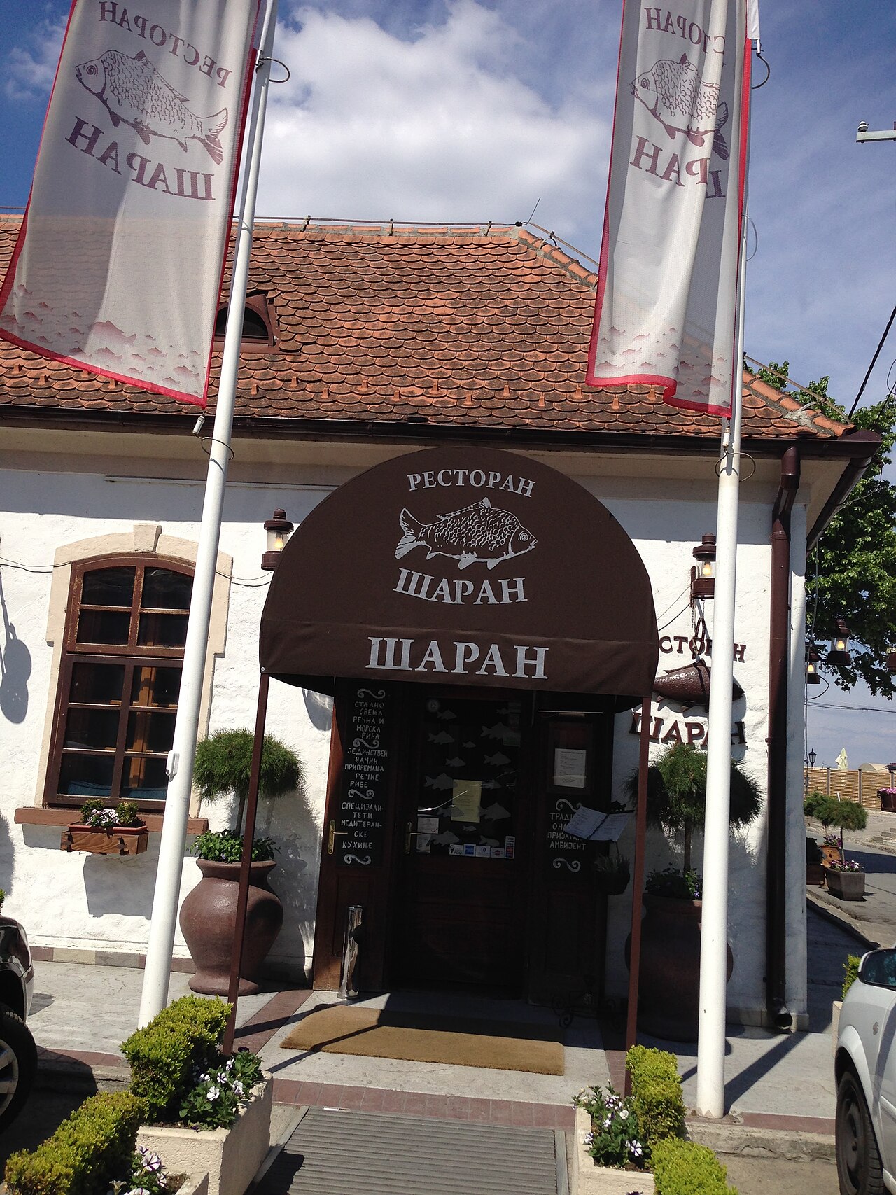Restaurant Carp in Zemun