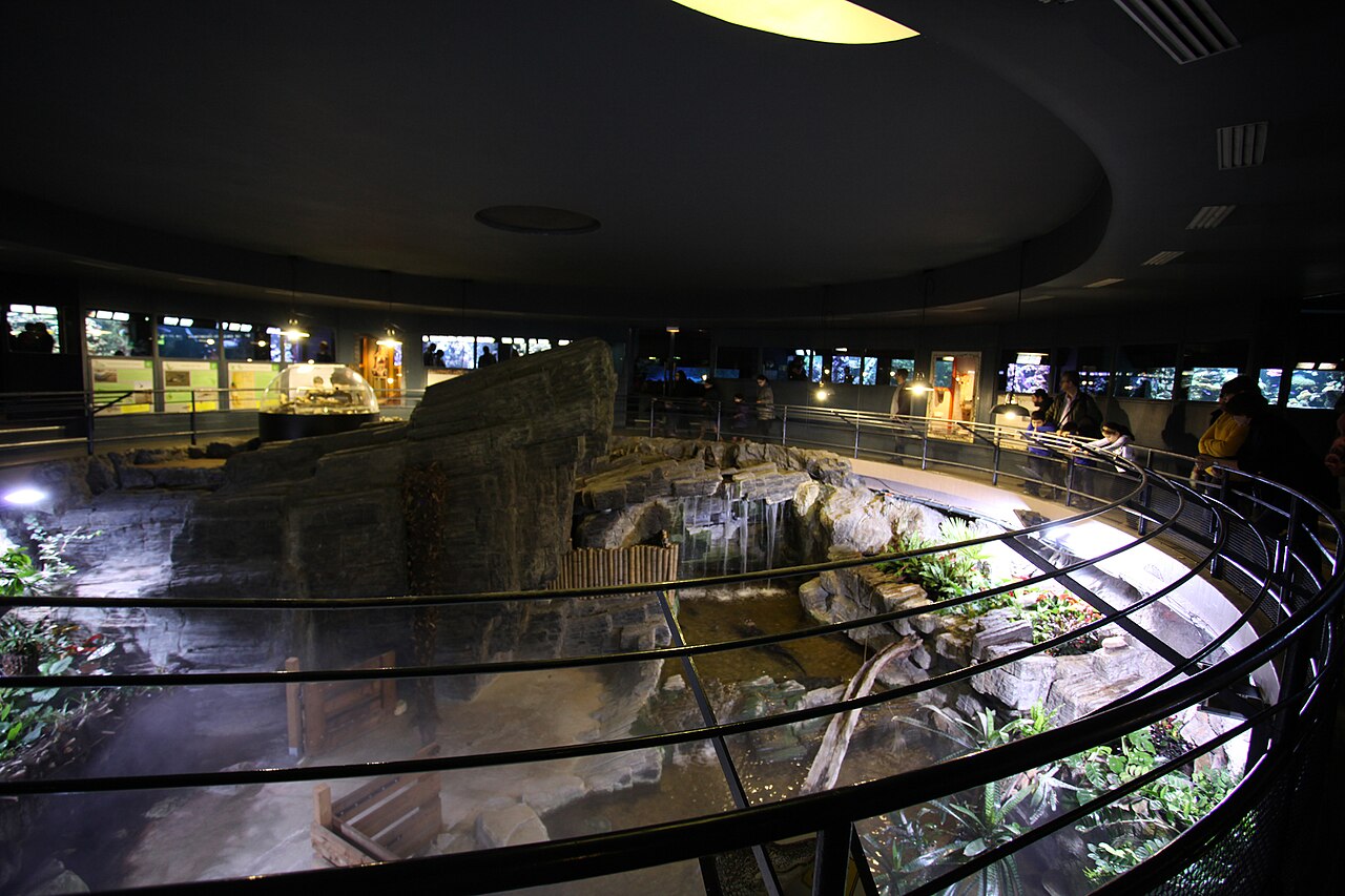 aquarium du palais de la Porte Dorée