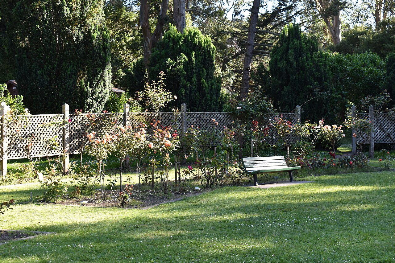 Golden Gate Parkı Gül Bahçesi fotoğrafı