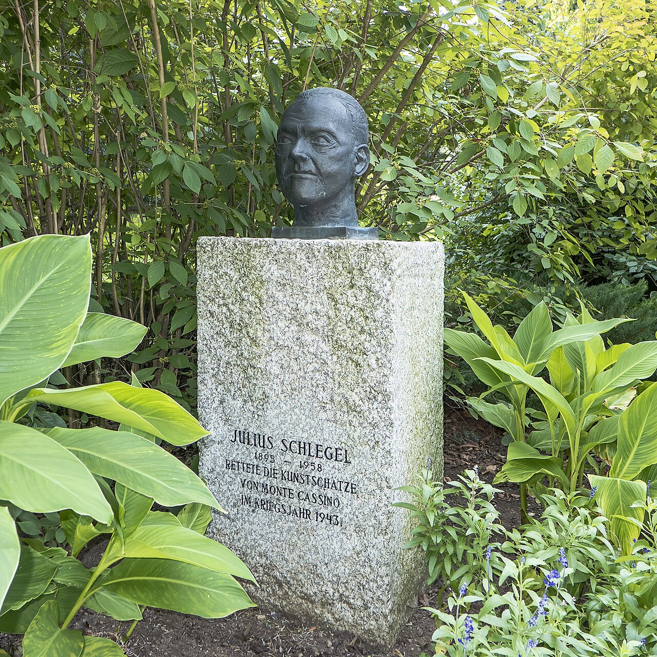 Julius Schlegel