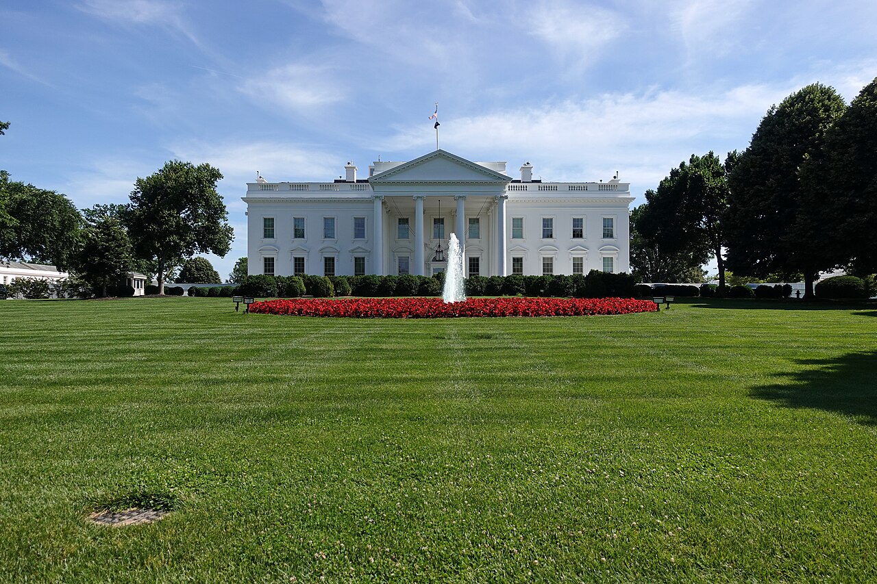 The Lawn on D의 사진