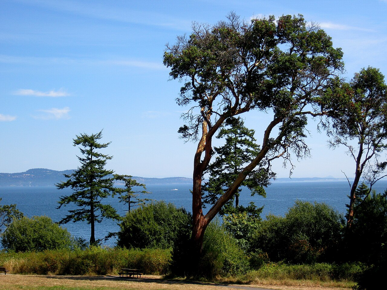 Arbutus Park fotoğrafı
