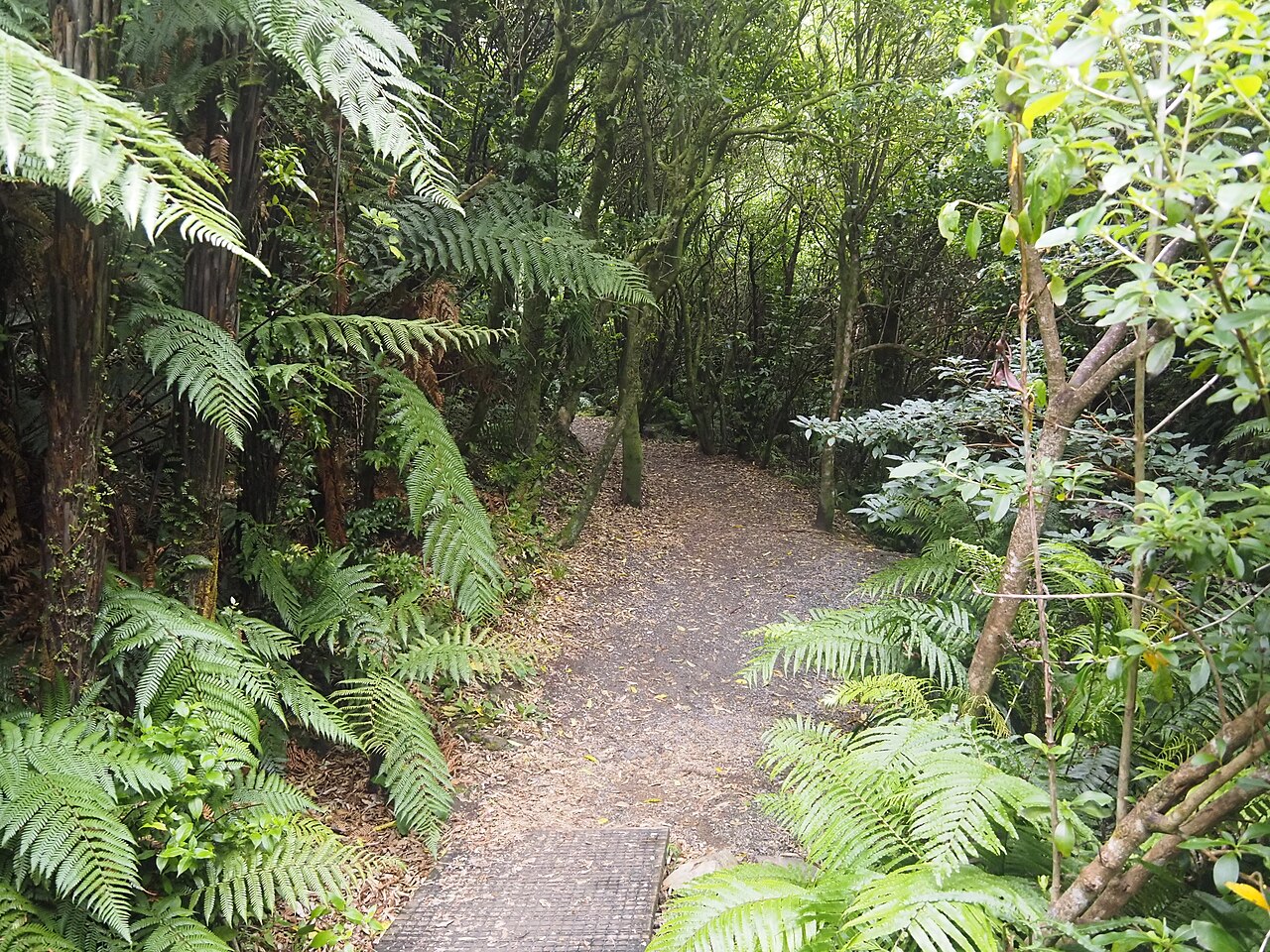 A photograph of Cannon Point