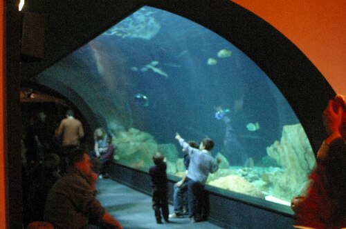 Aquarium de Paris