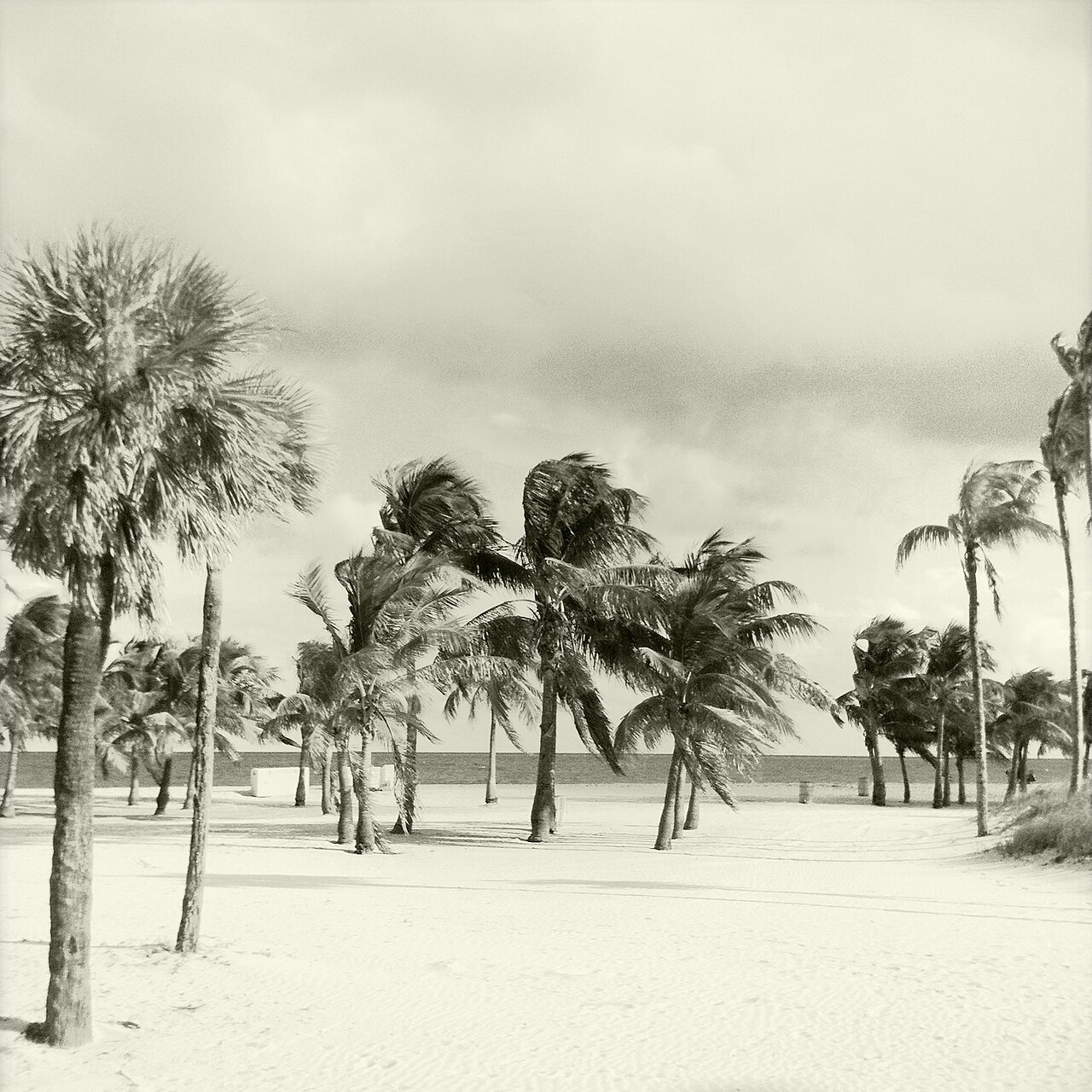 Crandon Beach의 사진
