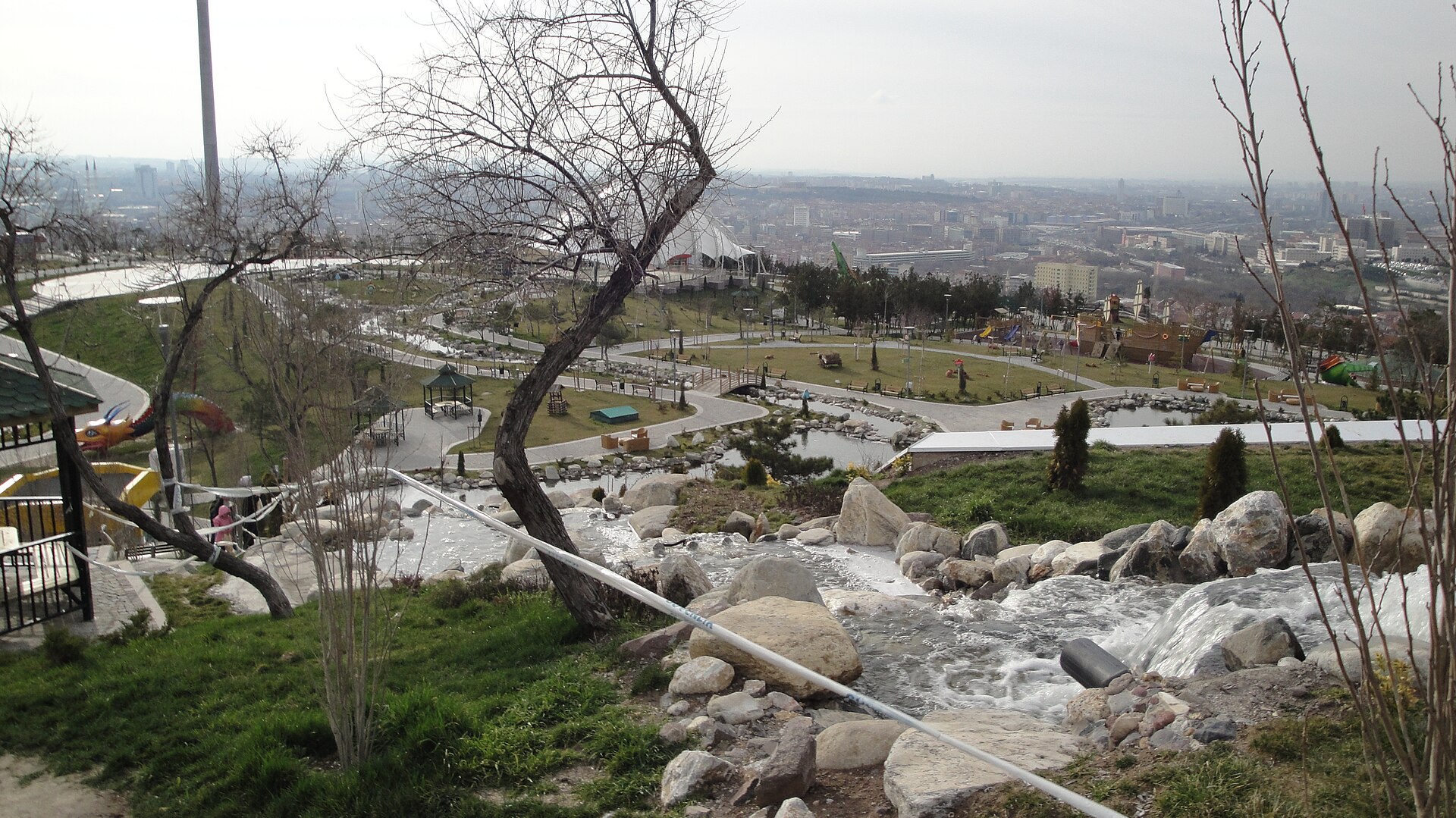 50周年記念公園 の写真