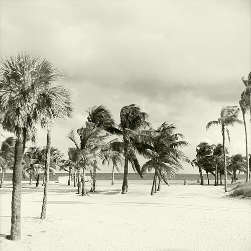 Crandon Beach
