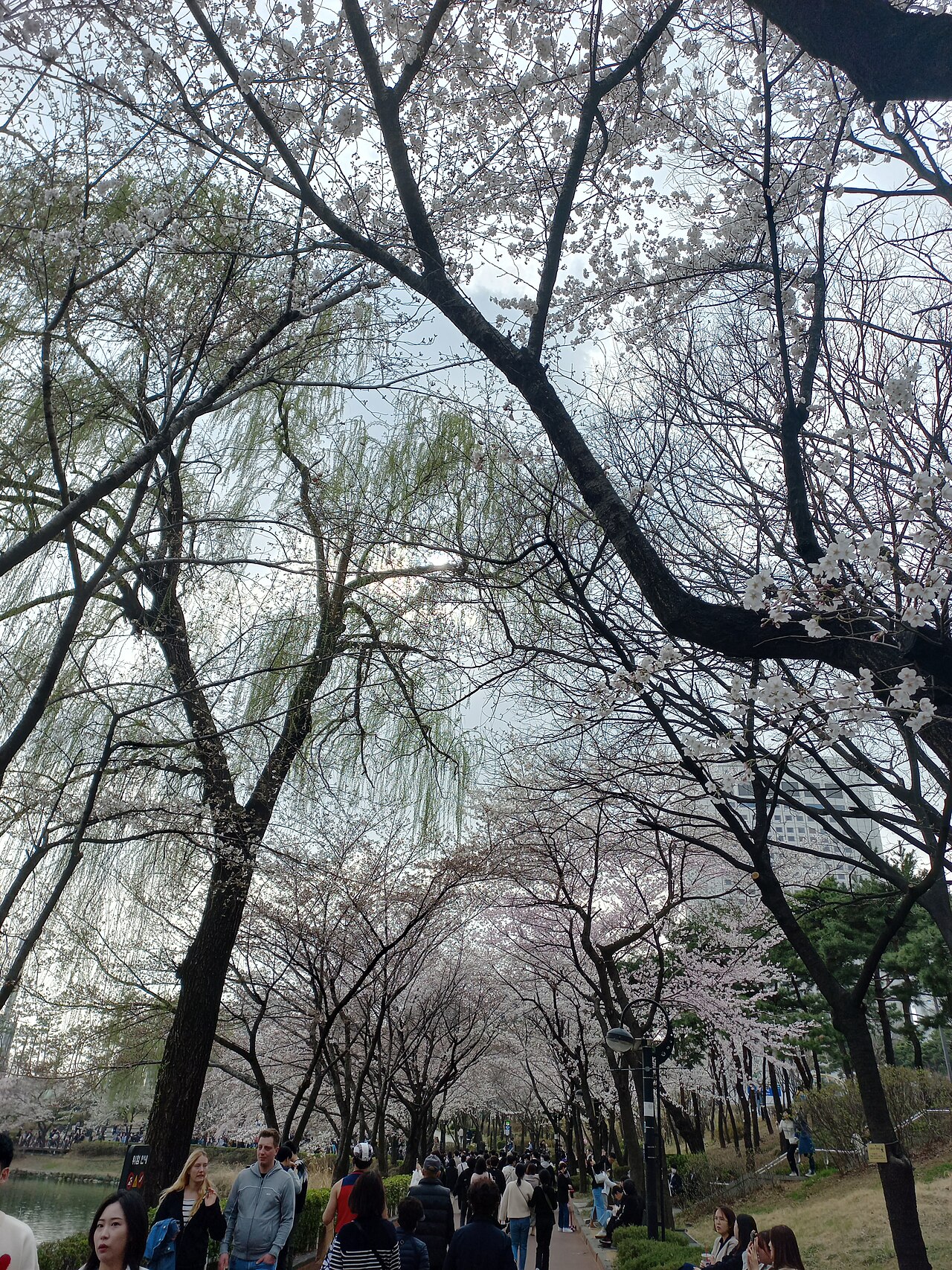 Uma fotografia de Parque do Lago Seokchon