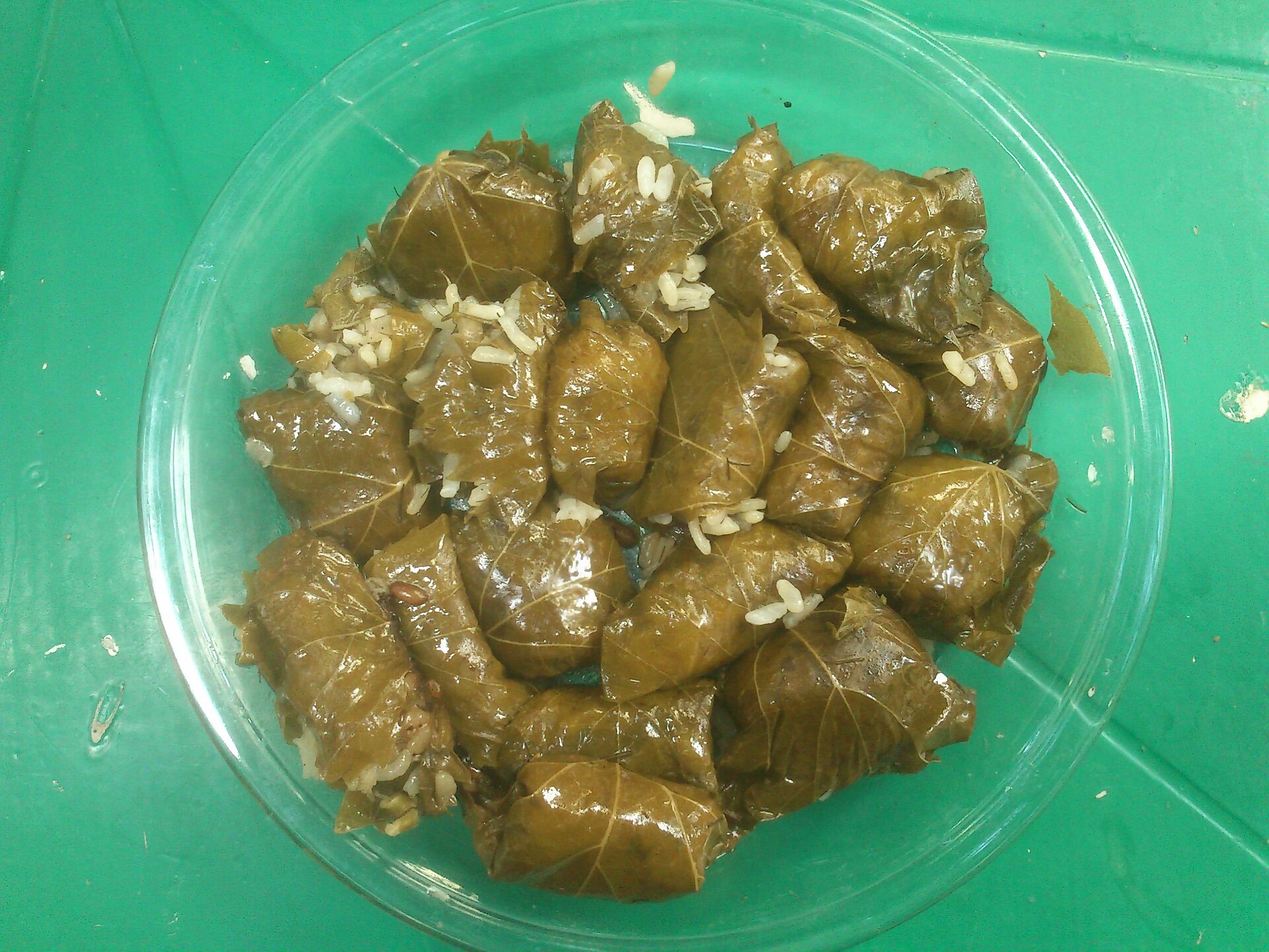 Dolmadakia (예시 사진)