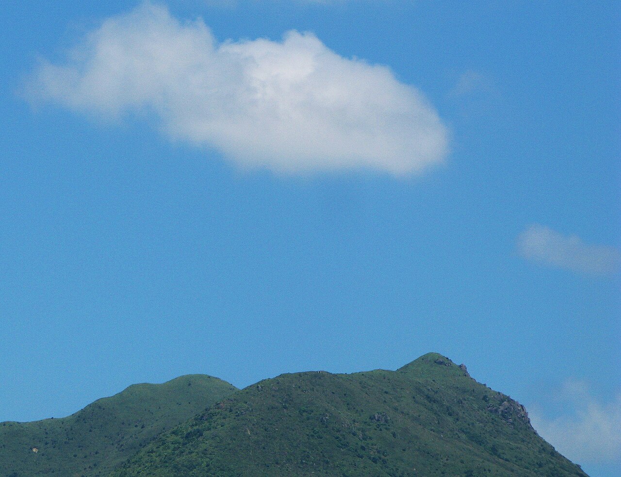 Collina Buffalo