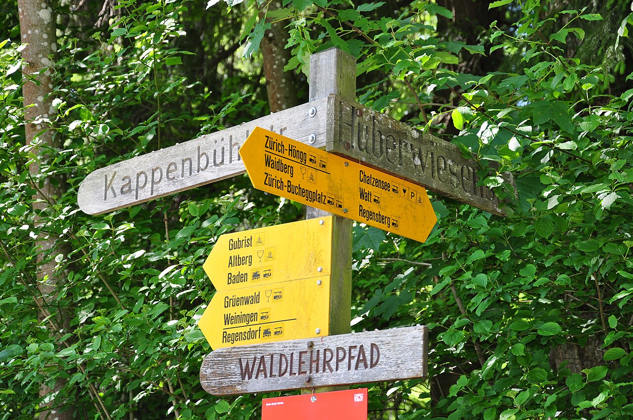 Una fotografia di Hönggerberg