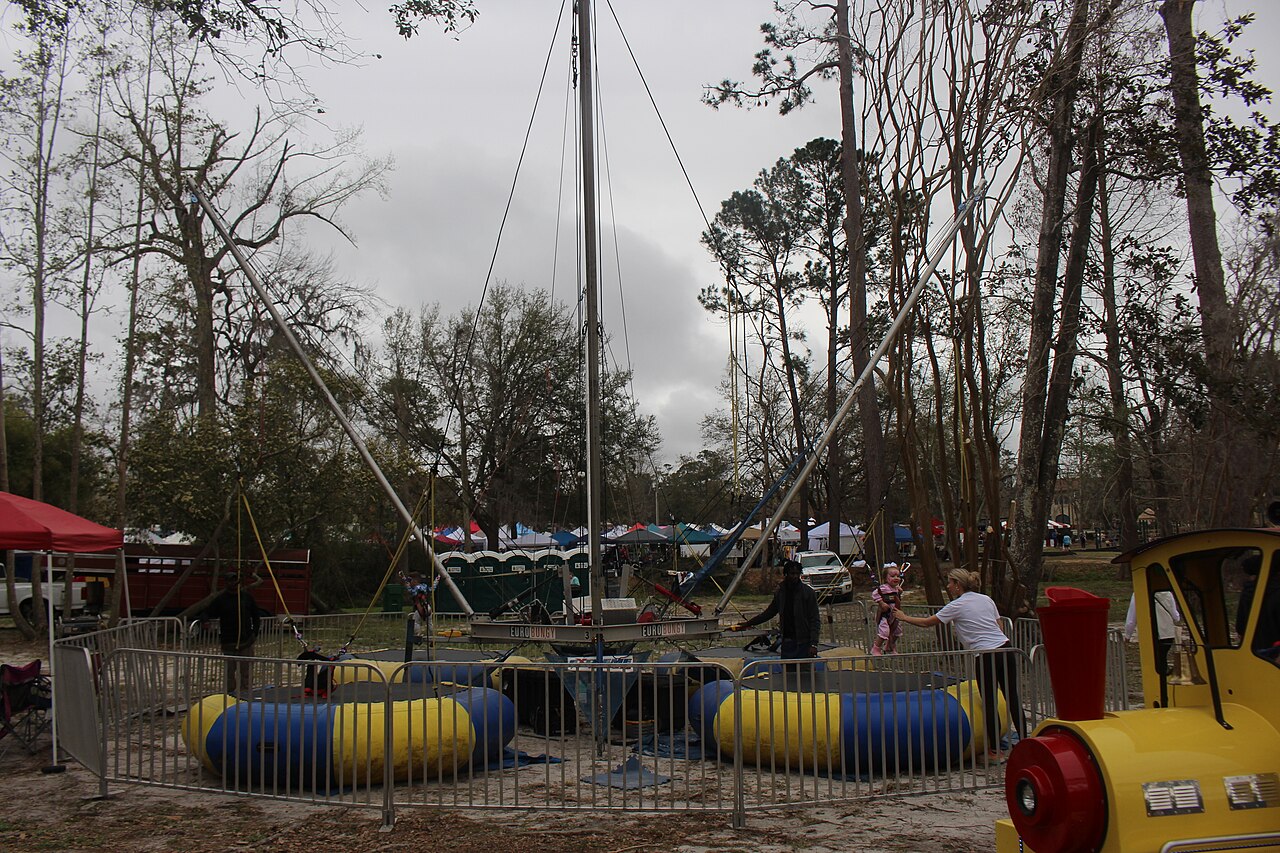 A photograph of Bungee
