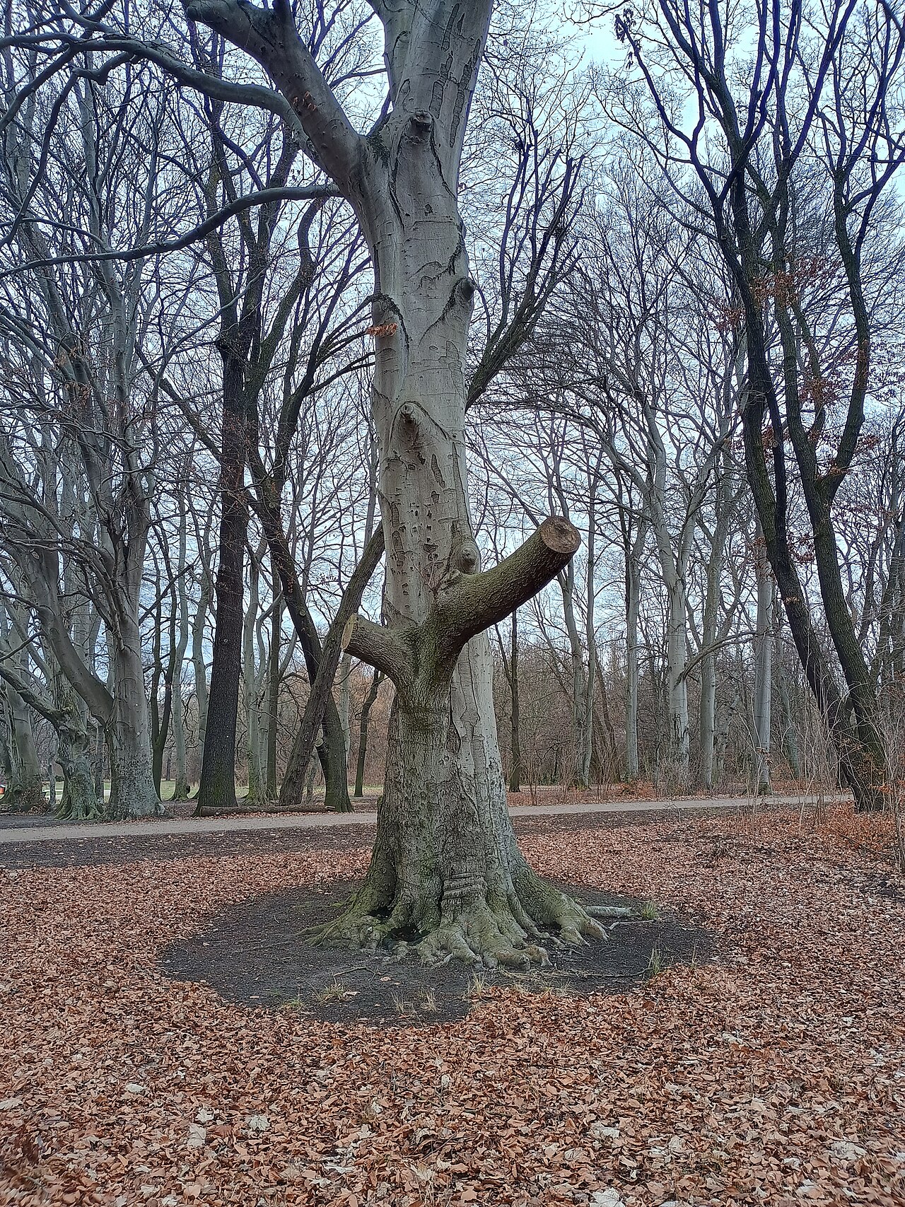 Une photographie de parc de Treptow