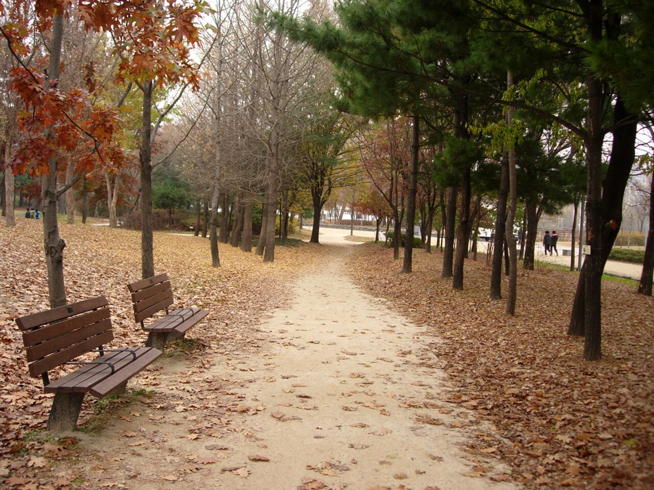 서울숲의 사진