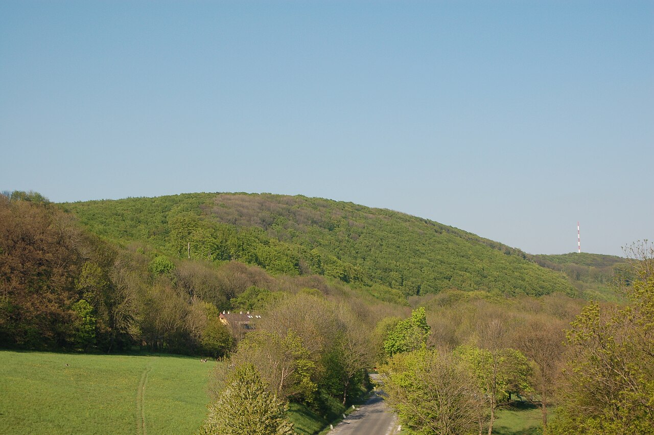Vogelsangberg