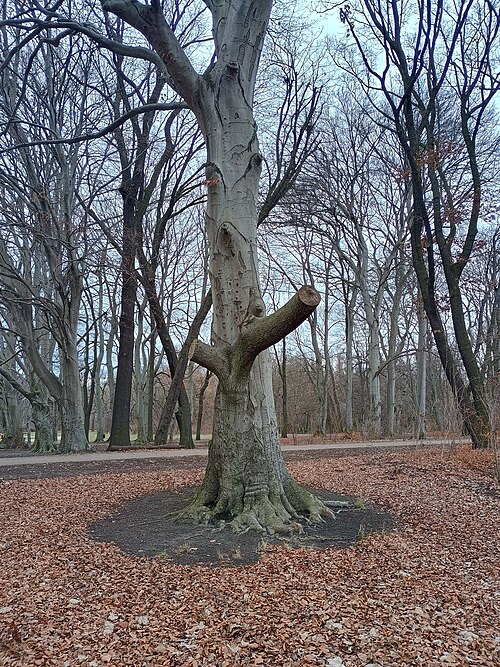 Treptower Park